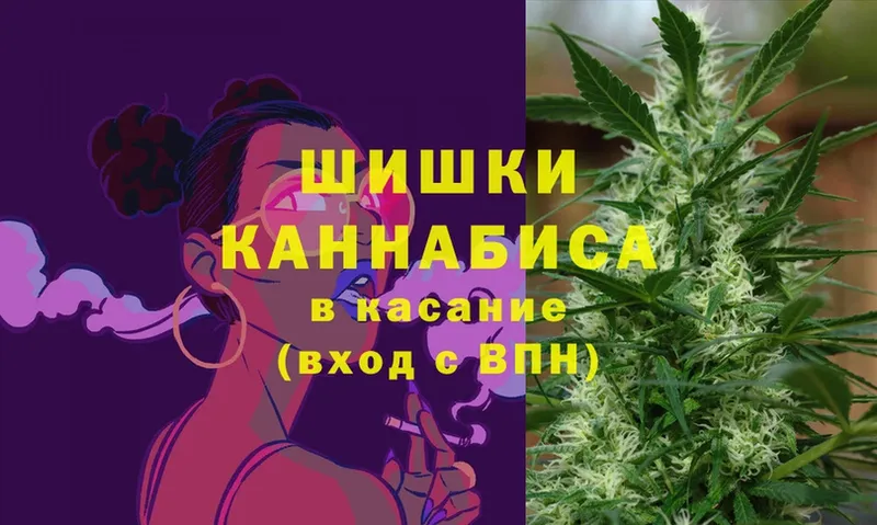 купить   Зарайск  Марихуана Amnesia 